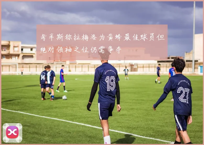 考辛斯称拉梅洛为黄蜂最佳球员但绝对领袖之位仍需争夺